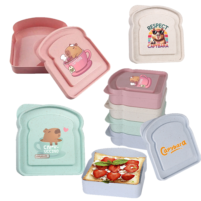 Food Storage Plastic Containers With Lids - Capybara Sandviç Gıda Saklama Kutusu Konteyner