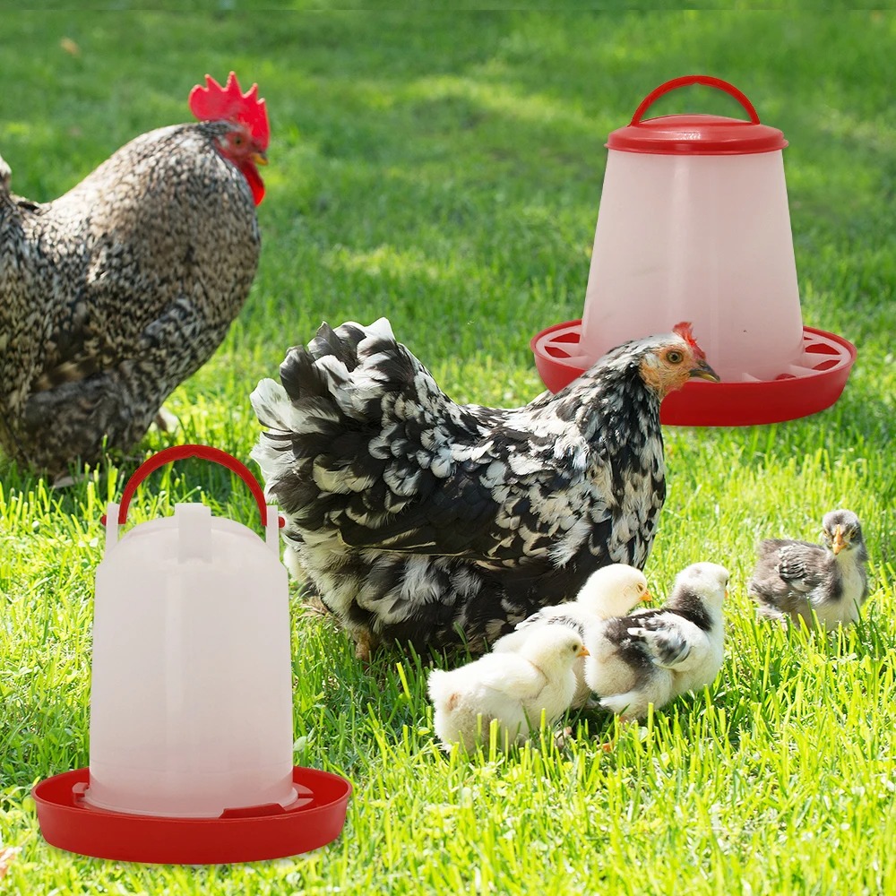 3kg+3L Kümes Hayvanları Yemlik - Portion Control Container incelemesi ve fiyatı