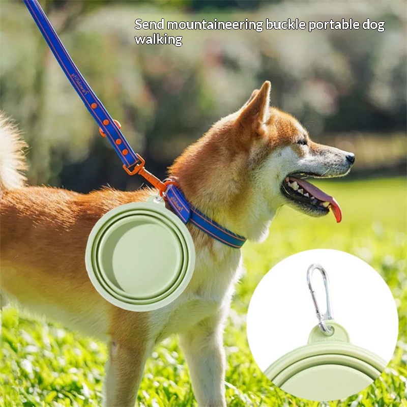 Silikon Köpek Mama Su Kabı Kat - Portion Control Container incelemesi ve fiyatı